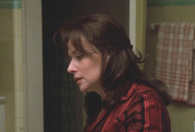 5 Lorraine Bracco in profile view wearing a red patterned top in Riding in Cars with Boys film.