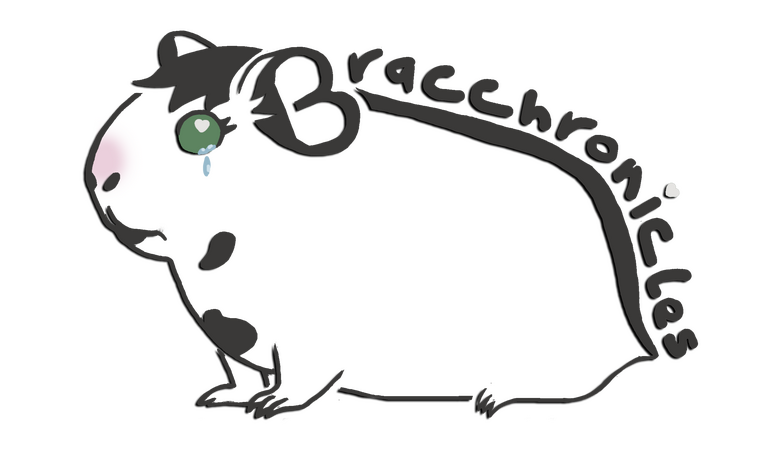 sad guinea pig noises